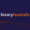Binary Fountain Logo