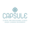 Capsule  Logo