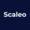 Scaleo Logo